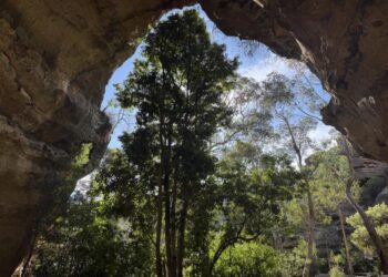 Dargan Shelter, ancient cave in Blue Mountains