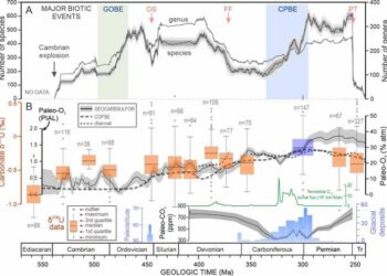 Paleozoic marine biodiversity, atmospheric composition, and seafloor oxygenation history