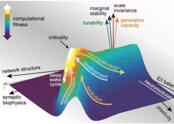 Criticality