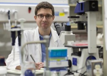 Immune system discovery reveals potential solution to Alzheimer’s