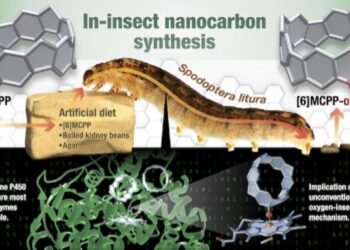 Insect molecular-making factory