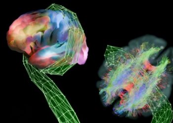 The Krakencoder's many arms align and fuse complementary maps of brain connectivity