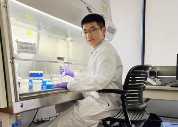 Dr. Meng Wang