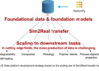 Data platform development strategy based on the scaling law of Sim2Real transfer learning