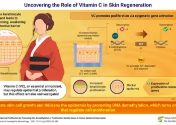 Vitamin C (VC) and Epigenetic Regulation: Unlocking the Secret of Skin Regeneration