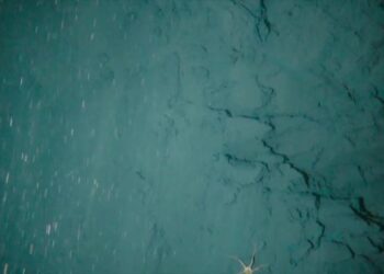 Anchor damage