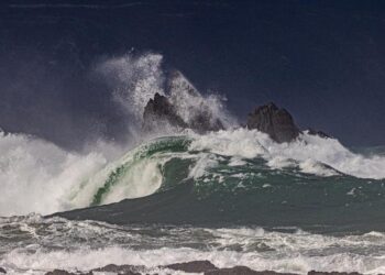 Wild weather at Wellington Harbour