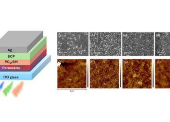 Device layers of the perovskite solar cell