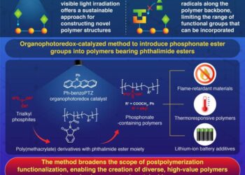 Designing High-Value Phosphonate-Functional Polymers with Visible-Light-Driven Postpolymerization