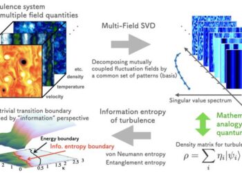 Revealing novel transitions in turbulent plasmas through information entropy