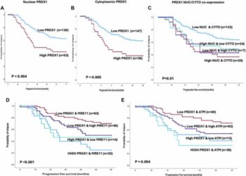 PRDX1 protects ATM from arsenite-induced proteotoxicity and maintains its stability during DNA damage signaling