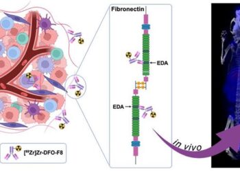 [89Zr]Zr-DFO-F8 binds specifically with EDA-FN in the tumor stroma to delineate TNBC.