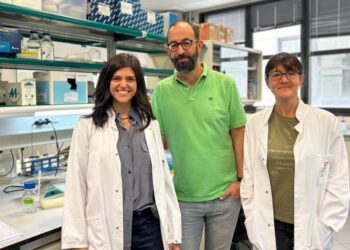 New tool to generate aneuploidies and analyse their impact on development