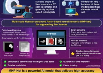 MHP-Net: A Smarter AI Tool for Liver Tumor Assessment
