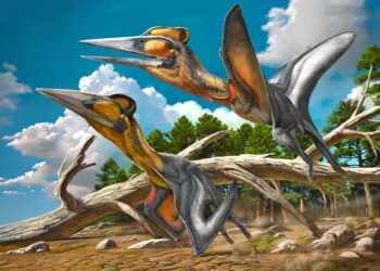 Visualization of the Proposed Appearance of Nipponopterus mifunensis (Art by Zhao Chuang)