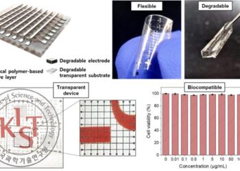 [Figure 1] Biodegradable, biocompatible, eco-friendly, and high-performance memory devices that completely disappear