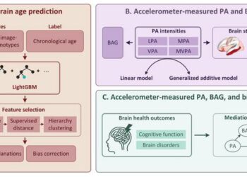Accelerometers-measured Physical Activity and Neuroimaging-Driven Brain Age