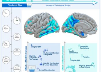 The role of (non-)modifiable factors on tau-spatial-extent and level-rise.