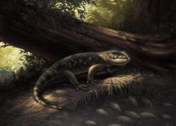 Artistic reconstruction of Bolg amondol, by Cullen Townsend