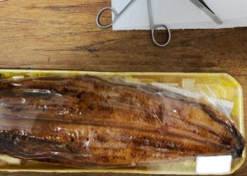 Figure 1. Example of processed eel products.