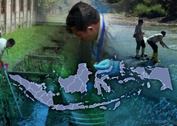 Tracking antibiotic resistance
