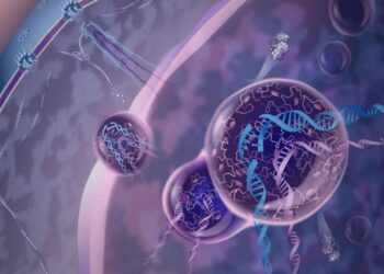 Cellular mechanism in which protein droplets safeguard regions of the genome