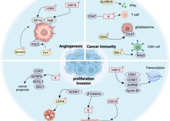 The roles of histone lactylation and non-histone lactylation in cancer