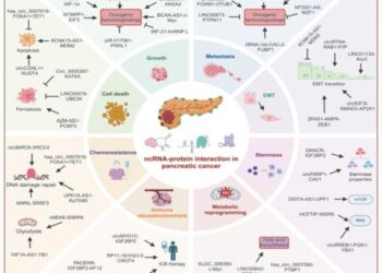 Mechanisms behind the role of noncoding RNAs (ncRNAs) in pancreatic cancer.