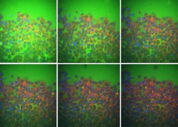 Cell Water