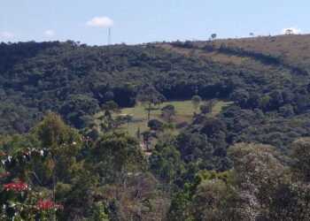 Tool identifies ecologically equivalent areas to guide restoration projects