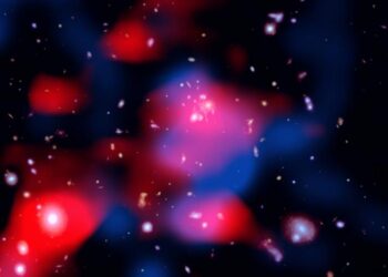 A distant galaxy cluster with a newly discovered radio mini-halo