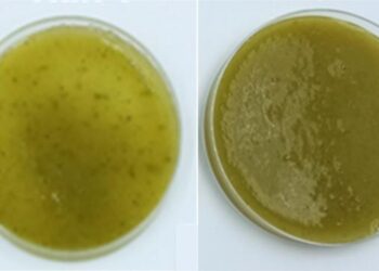 Pasteurizing fruit smoothies could improve digestion of beneficial polyphenols