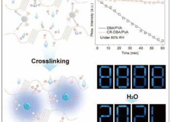 Construction of humidity-resistant ultralong organic phosphorescence polymers and its practical applications