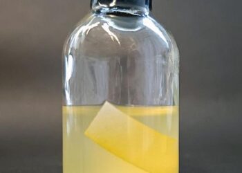 Yellow Affinity Substance YAS binds to cellulose