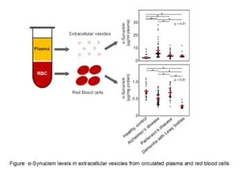 Measurement of α-Synuclein in Plasma-Derived EVs and RBCs