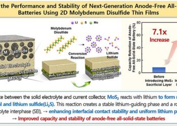 [1] Enhancing the Performance and Stability of Next-Generation Anode-Free All-Solid-State Batteries Using 2D Molybdenum Disulfide Thin Films