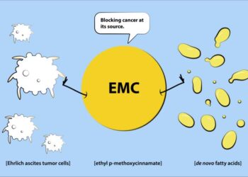 Ethyl p-methoxycinnamate inhibiting cancer cell energy source