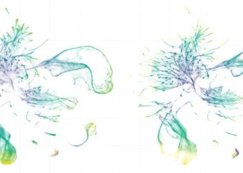 Representation of single-cell RNA sequencing data from two species of worms