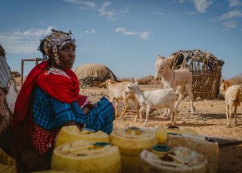 Extreme droughts in LMICs are associated with increased sexual violence against girls and young women