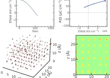 dipole_dynamics