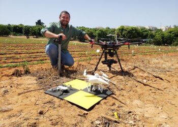 A small drone fleet near a young sesame experimental plot
