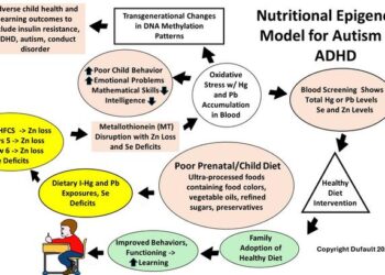 Nutritional epigenetics model for autism and ADHD