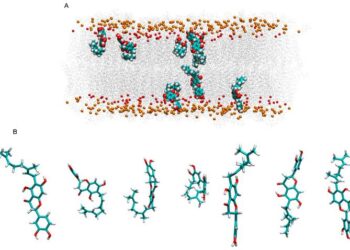 Activity of Nymphaeol A, a bioactive compound in propolis