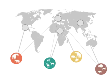 Network of ecological roles