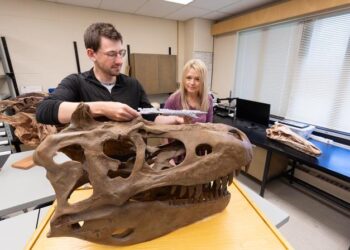 University of Calgary paleontologists identify closest-known ancestor to Tyrannosaurs