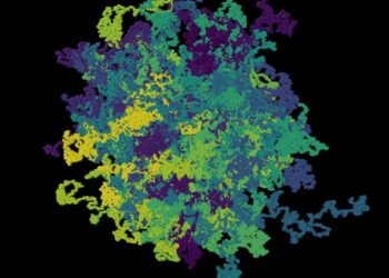 Entangled active flexible polymer filaments