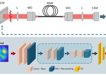 Figure 1 (Working principle of the FPGA-accelerated decoder)