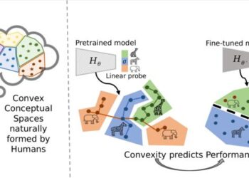 The connection between human and machine learning