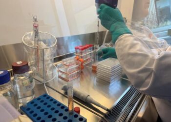 Cultivation in the lab