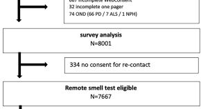Identifying individuals at-risk of developing Parkinson’s disease using a population-based recruitment strategy: The Healthy Brain Ageing Kassel Study
